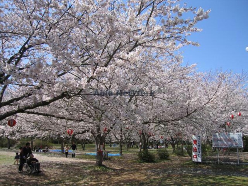 鹿島城山公園(公園)まで772m ロワイヤルユウ鹿島