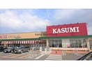 カスミフードスクエアライフガーデン神栖店(スーパー)まで1510m アイビス堀割タウンＤ