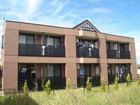 チェリー・ブロッサム（知手中央）