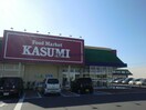 カスミフードスクエアライフガーデン神栖店(スーパー)まで746m レフィナード