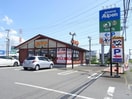 かつや茨城神栖店(その他飲食（ファミレスなど）)まで728m パレス２８