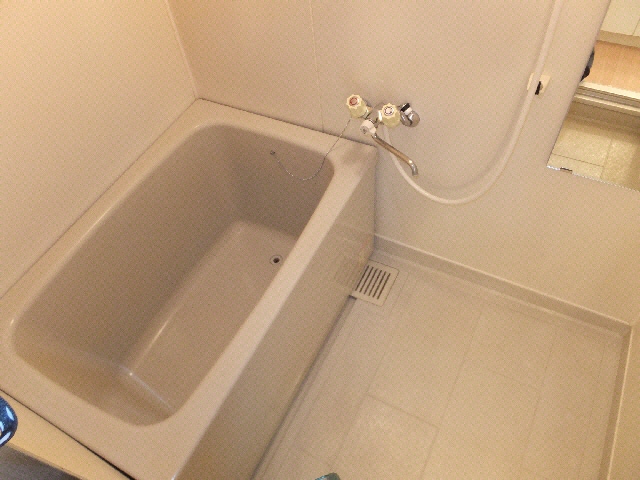 ﾊﾞｽ ｼｬﾙﾑA