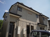 ｳｯﾄﾞﾍﾟｯｶｰ