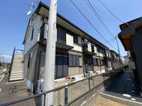 ｴｽﾍﾟﾗﾝｻC(ﾀﾞｲﾜ)