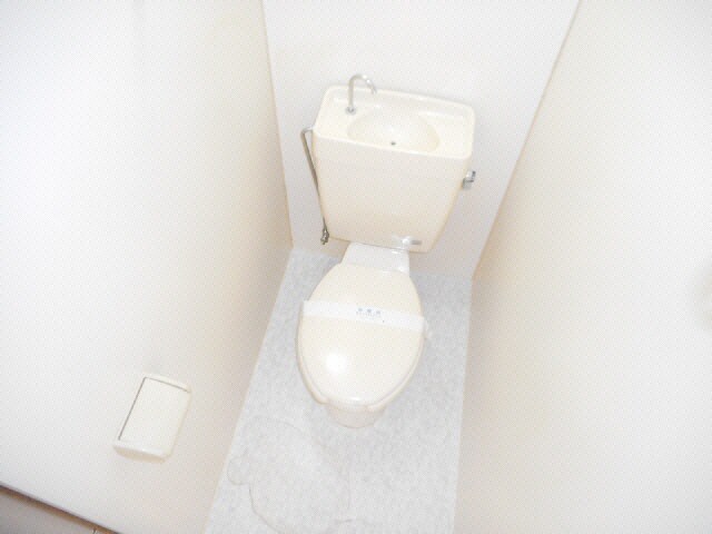 ﾄｲﾚ ﾊﾟｽﾃﾙｸﾞﾗﾝﾃﾞ