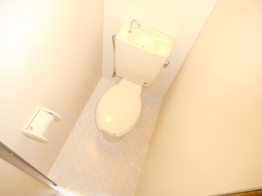 ﾄｲﾚ ﾊﾟｽﾃﾙｸﾞﾗﾝﾃﾞ