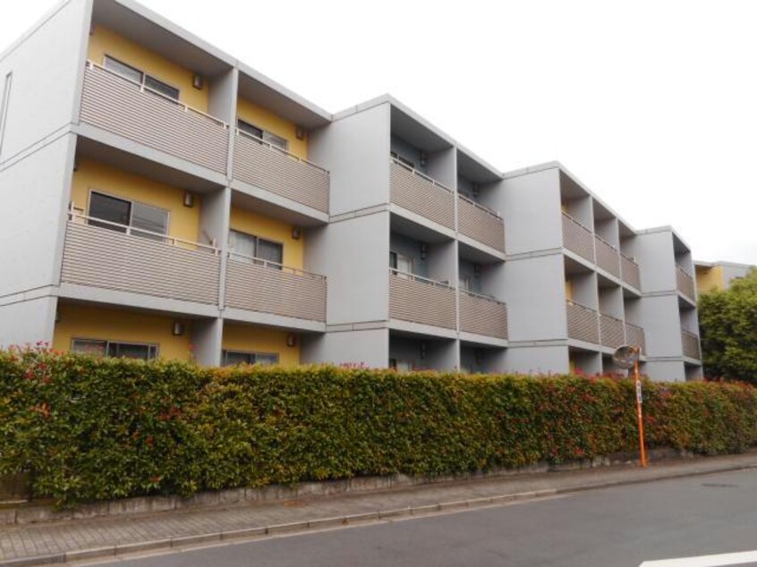  ﾊﾟﾚｯﾄﾌｪﾙﾓ公津の杜AB