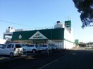 マルエツ安食店(スーパー)まで1224m ｴｸｾﾙ安食　H