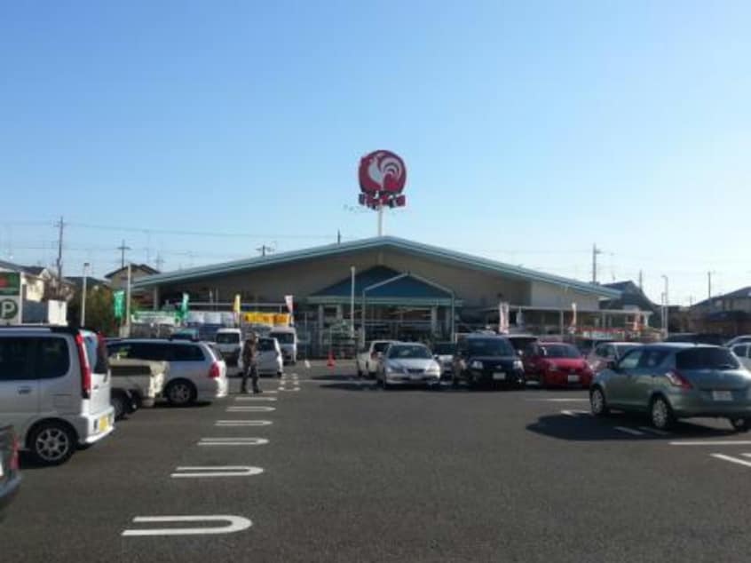 コメリハード＆グリーン栄町安食台店(電気量販店/ホームセンター)まで1232m 上前ﾊｲﾂI