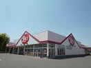 ヤックスドラッグ三里塚店(ドラッグストア)まで962m ﾊﾟｰﾈﾙﾊｲﾂA棟