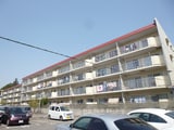 成田中央公園ｽｶｲﾊｲﾂA棟