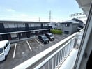  ｺｽﾓﾊｲﾂB(安食)