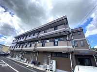 ｽﾄｳﾝﾌｨｰﾙﾄﾞ