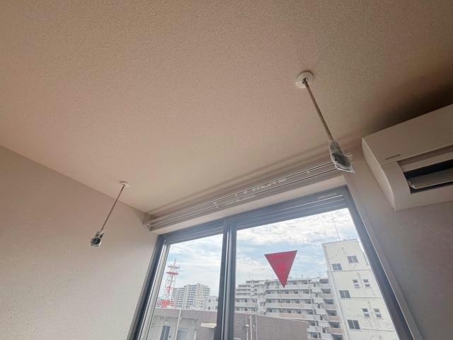  Cocosakura