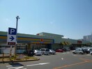 マツモトキヨシ成田日吉台店(ドラッグストア)まで526m 成田中央公園ｽｶｲﾊｲﾂC棟