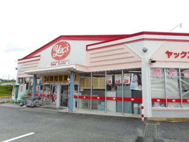 ヤックスドラッグ成田店(ドラッグストア)まで815m N･D-ROOM IIDACHOU A棟