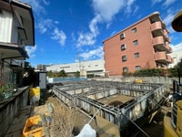 ｸﾗｼｪ松の木