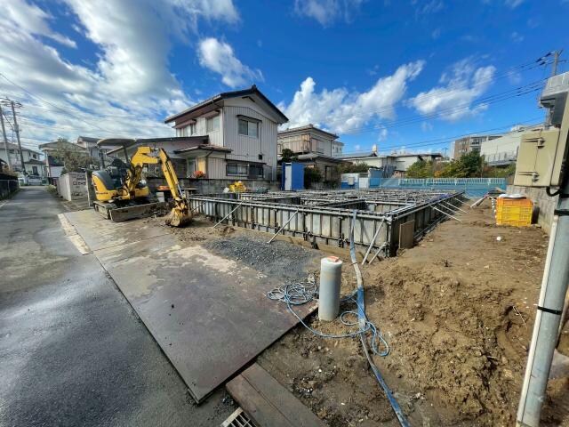  ｸﾗｼｪ松の木