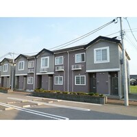 チューリップアベニューⅡ