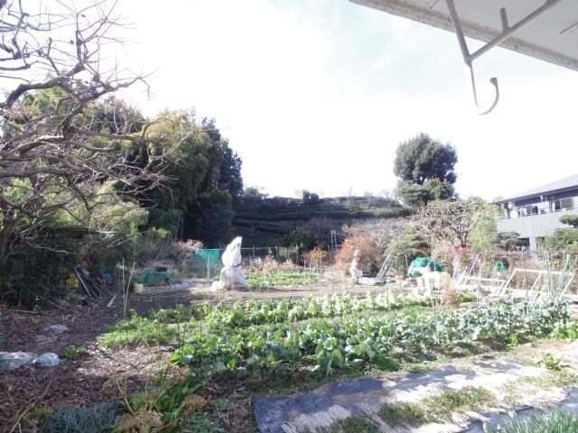  静岡鉄道静岡清水線/草薙駅 徒歩7分 1階 築37年