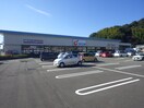 カワチ薬品清水鳥坂店(ドラッグストア)まで582m 東海道本線/静岡駅 バス28分瀬名川東下車:停歩4分 1階 築21年