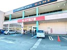 スーパー田子重鳥坂店(スーパー)まで472m 東海道本線/静岡駅 バス25分鳥坂営業所下車:停歩4分 2階 築16年