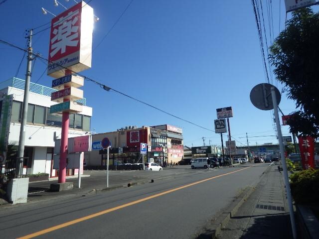 ウエルシア静岡東瀬名店(ドラッグストア)まで929m 東海道本線/草薙駅 徒歩20分 2階 築16年