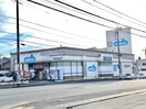 ウエルシア静岡国吉田店(ドラッグストア)まで599m 静岡鉄道静岡清水線/県立美術館前駅 徒歩11分 2階 築28年