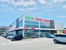 ダイソープラザアピア静岡店(100均)まで972m 静岡鉄道静岡清水線/県立美術館前駅 徒歩11分 2階 築28年