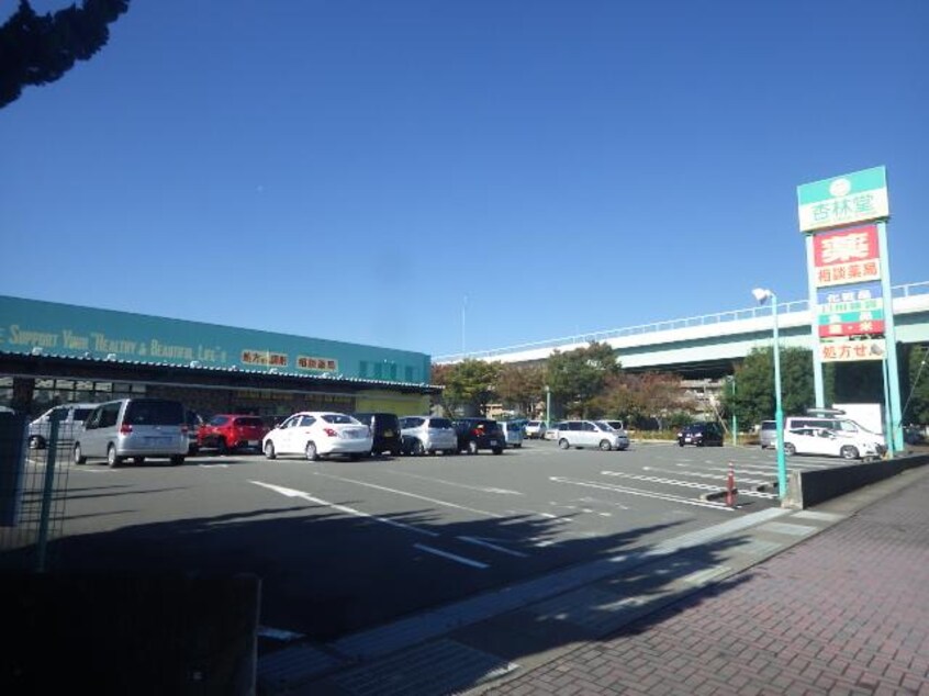 杏林堂薬局瀬名川店(ドラッグストア)まで168m 静岡鉄道静岡清水線/県立美術館前駅 徒歩24分 2階 築27年