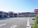 スーパー田子重鳥坂店(スーパー)まで709m 東海道本線/草薙駅 徒歩16分 1階 築19年