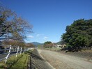 瀬名勘南久緑地(公園)まで1146m 静岡鉄道静岡清水線/新静岡駅 バス20分東高前下車:停歩3分 2階 築19年