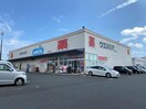 ウエルシア静岡川合店(ドラッグストア)まで875m 静岡鉄道静岡清水線/県立美術館前駅 徒歩25分 1階 築28年