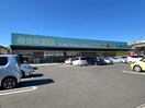 杏林堂薬局瀬名川店(ドラッグストア)まで253m 東海道本線/草薙駅 バス9分東瀬名町下車:停歩1分 1階 築27年