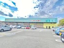 杏林堂薬局瀬名川店(ドラッグストア)まで877m 東海道本線/草薙駅 徒歩18分 1階 築30年