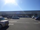 カワチ薬品清水鳥坂店(ドラッグストア)まで817m 東海道本線/草薙駅 徒歩18分 1階 築9年