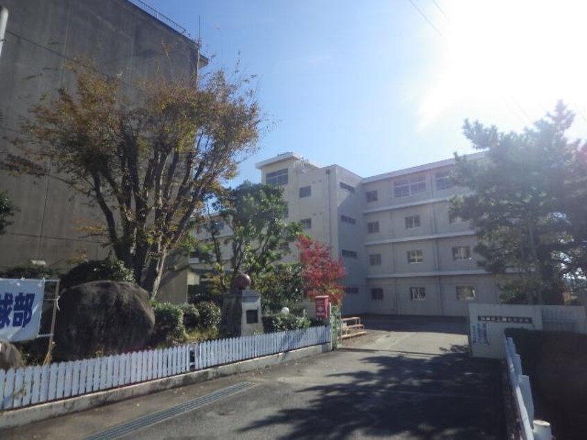 静岡市立西奈中学校(中学校/中等教育学校)まで1508m 東海道本線/草薙駅 徒歩18分 2階 築9年