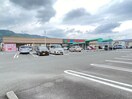 食鮮館タイヨー長崎店(スーパー)まで1152m 東海道本線/草薙駅 徒歩12分 3階 築9年