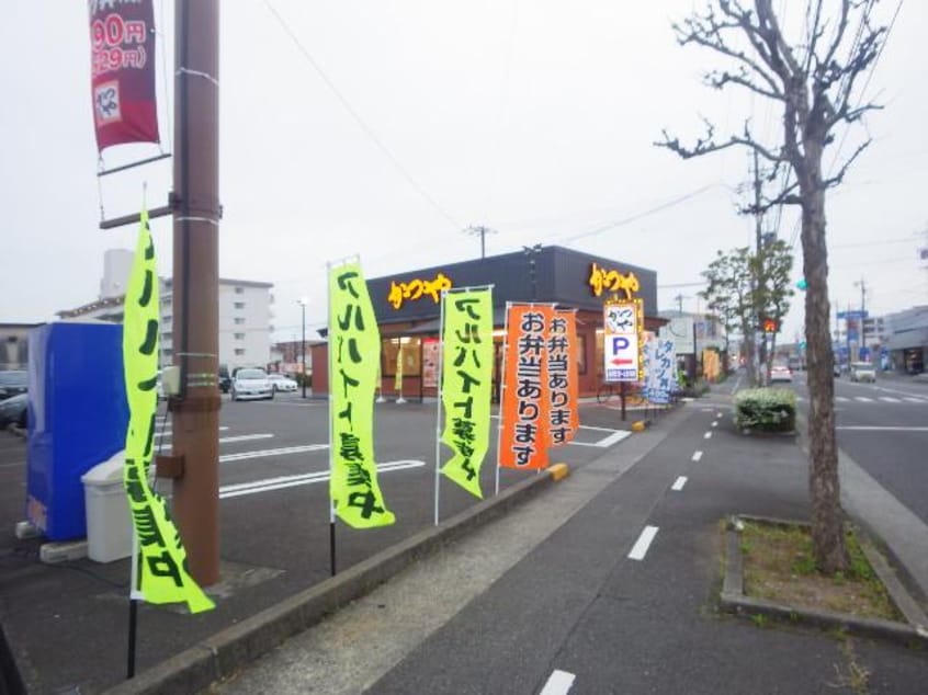 かつや静岡聖一色店(その他飲食（ファミレスなど）)まで686m 静岡鉄道静岡清水線/県総合運動場駅 徒歩14分 1階 築27年