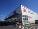 ウエルシア静岡川合店(ドラッグストア)まで1151m 東海道本線/静岡駅 バス23分中央町下車:停歩9分 2階 築33年