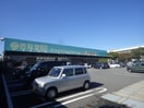 杏林堂薬局瀬名川店(ドラッグストア)まで800m 東海道本線/草薙駅 徒歩19分 1階 築47年