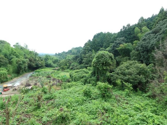  静岡鉄道静岡清水線/県立美術館前駅 徒歩23分 2階 築29年