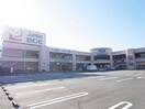 ジャンボエンチョー清水鳥坂店(電気量販店/ホームセンター)まで2201m 静岡鉄道静岡清水線/御門台駅 徒歩6分 2階 築37年