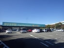 杏林堂スーパードラッグストア静岡草薙店(ドラッグストア)まで1255m 静岡鉄道静岡清水線/県立美術館前駅 徒歩6分 3階 築3年