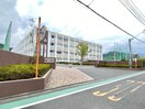 私立常葉大学附属橘高校(高等学校/高等専門学校)まで1047m 東海道本線/草薙駅 徒歩30分 2階 築2年