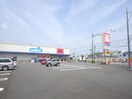 ウエルシア静岡池田店(ドラッグストア)まで797m 静岡鉄道静岡清水線/県総合運動場駅 徒歩16分 1階 築4年