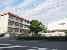静岡市立清水有度第一小学校(小学校)まで1189m 静岡鉄道静岡清水線/狐ケ崎駅 徒歩8分 2階 築1年