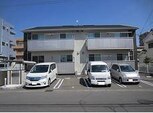 アルカ・コンネ　椿