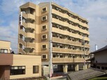 エヴァーグリーンＭ