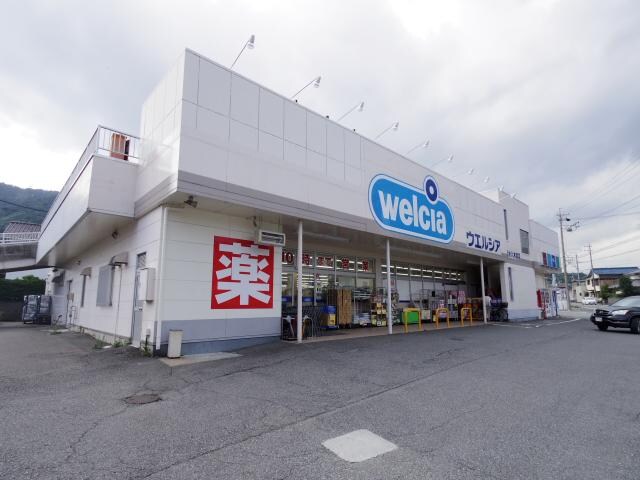 ウエルシア清水八木間店(ドラッグストア)まで243m 東海道本線/興津駅 バス10分八木間上下車:停歩3分 1階 築33年